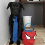 Profile Picture of Colin Vallance (@colinvallance) on Instagram