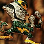 Profile Picture of Carl Cooney (@vatican1) on Instagram