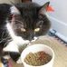 Profile Picture of Janet Pfeiffer (@janet.pfeiffer.71) on Facebook