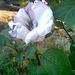 Profile Picture of Glenda Hembree (@glendahembree) on Pinterest