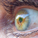 Profile Picture of Carlos Martinez (@carlos martinez c) on Flickr