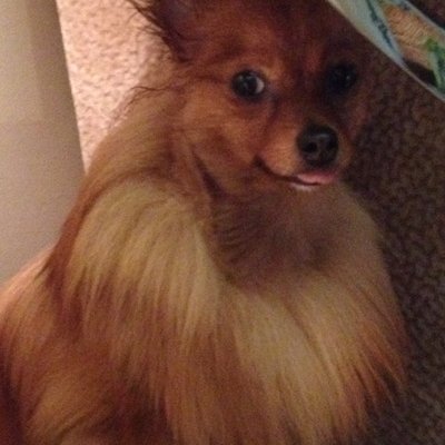 Profile Picture of Ronald Heffner (@RonaldHeffner) on Twitter