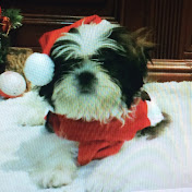 Profile Picture of Javier Meseguer Belles (@javiermeseguerbelles3396) on Youtube