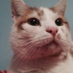 Profile Picture of Ralph Squire (@bubbywubby_littleman) on Instagram