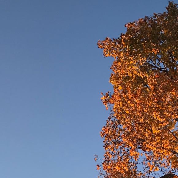 Profile Picture of Jonah Sirrs (@j_dawg55) on Poshmark