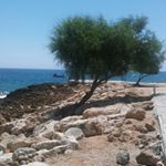 Profile Picture of clare dickson (@clarabelladickson) on Instagram