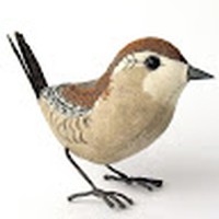 Profile Picture of Karen Mohr (@karen-mohr-18) on Quora