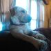 Profile Picture of Steven LeClair (@steven.leclair.58) on Facebook