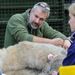 Profile Picture of Steve Plowman (@steveplowman) on Pinterest
