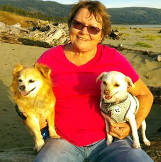 Profile Picture of Carol Smock (@carol.smock.946) on Facebook