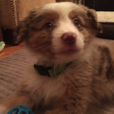 Profile Picture of Tracy Quinn (@tracyquinn2016) on Twitter