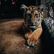 Profile Picture of William Jenkins (@williamjenkins7159) on Youtube