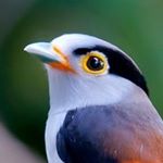 Profile Picture of David Boake (@david_boake) on Instagram