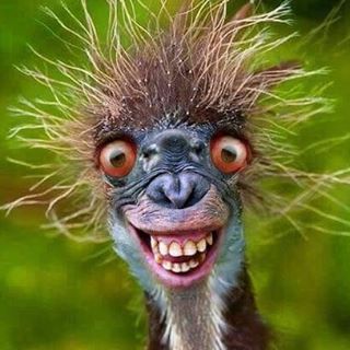 Profile Picture of Ed Hildreth (@Ed-Hildreth) on Facebook