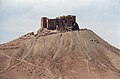 Profile Picture of Palmyra Castleon Wikipedia