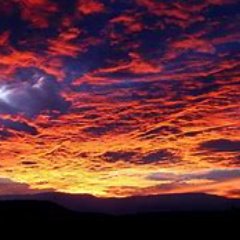 Profile Picture of @_@ (@_Adam_Valle_) on Twitter