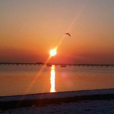 Profile Picture of Fay  Harris (@FayJaneHarris) on Twitter