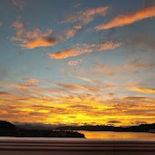 Cindy Cho - Youtube Profile Picture of Cindy Cho (@cindycho2155) on Youtube