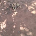 Profile Picture of Kenneth Deche (@Kenneth-Deche) on Facebook