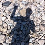 Profile Picture of Ted Morrison (@tedmorrisonstudio) on Instagram