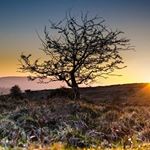 Profile Picture of Ralph Celestine (@ralph_celestine) on Instagram