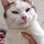 Profile Picture of Carol Cox (@carolcoxm) on Instagram