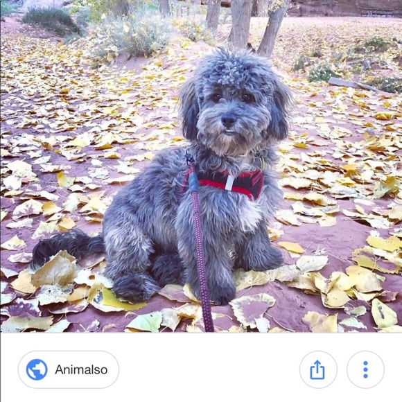 Profile Picture of Taylor Pomeranz (@tpomeranz) on Poshmark