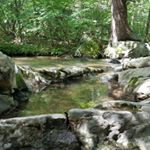 Profile Picture of Lisa Falzone (@4_luvoflife) on Instagram