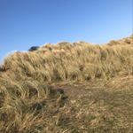 Profile Picture of Katelyn Goodwin (@katelyn_goodwinxx) on Instagram