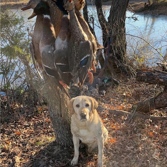 Profile Picture of Coleman Ellis (@colemanmx44) on Poshmark