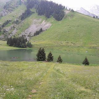 Profile Picture of Roberte Leroy (@roberte.leroy.1) on Facebook