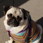 Profile Picture of Kimberly Esterline Maas (@kesterline_maas) on Instagram