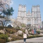 Debbie Kong - Instagram Profile Picture of Debbie Kong (@debbie.kong2) on Instagram