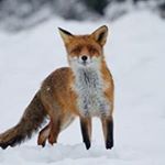 Profile Picture of Carla Rodenburg-de Vos (@rodenburgdevos) on Instagram