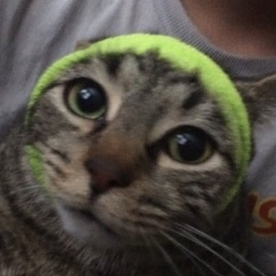 Profile Picture of Cody Donahue (@DoperuhWinfrey) on Twitter