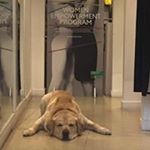 Profile Picture of Michele Modica (@m.michele87) on Instagram