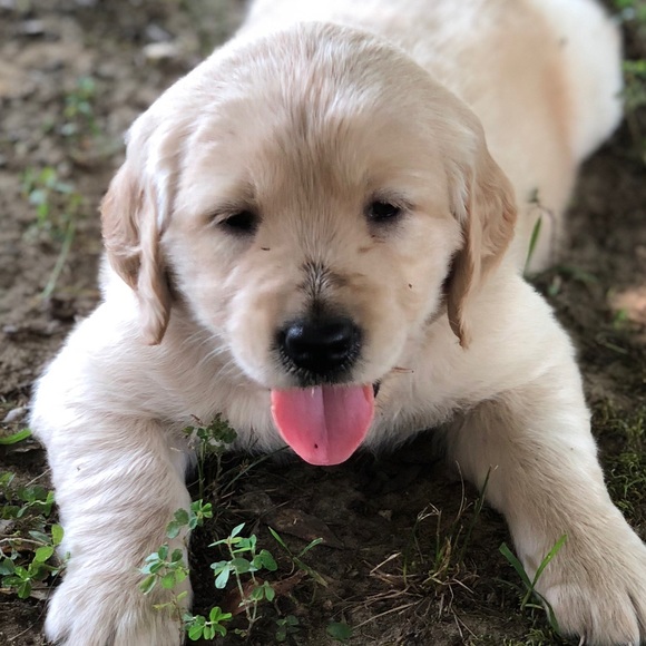 Profile Picture of Kathleen Hughston (@kwhughston) on Poshmark