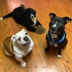 Jenny Galentine (Chavira) - Facebook Profile Picture of Jenny Galentine (Chavira) (@jenny.galentine) on Facebook