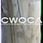 Profile Picture of Matthew Harrison (@CreativeWasteofCalifornia) on Flickr