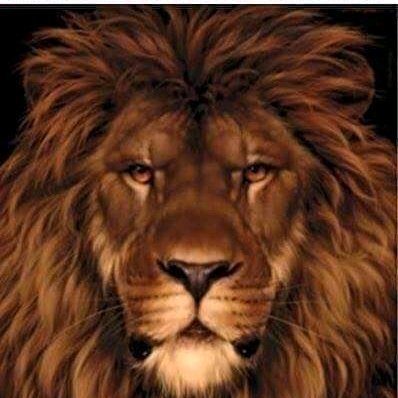 Profile Picture of Jose Ramon Climaco (@ramon_climaco) on Twitter