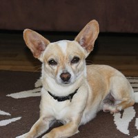 Profile Picture of Owen Peyton (@owen-peyton-2) on Quora