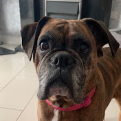 Profile Picture of Paul Brooker (@paulbrooker7266) on Youtube