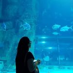 Profile Picture of Kleida Muslija (@kleida.msl) on Instagram