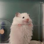 Profile Picture of Michelle Jaquish (@milaloal) on Instagram