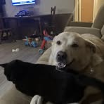 Profile Picture of Kenneth Riddle (@kenneth.riddle.984) on Facebook