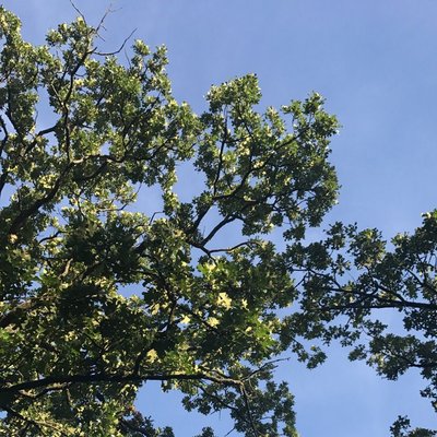 Profile Picture of Blake Karr (@KarrBlake) on Twitter