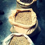 Profile Picture of Paul Beachy (@paulbeachy1) on Instagram