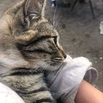 Profile Picture of Isabel Iriarte (@isabel_spamm16) on Instagram