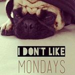 Profile Picture of Antonia Hahn (@hahnantonia) on Instagram