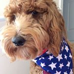 Profile Picture of Paul Hildreth (@wphildreth) on Instagram